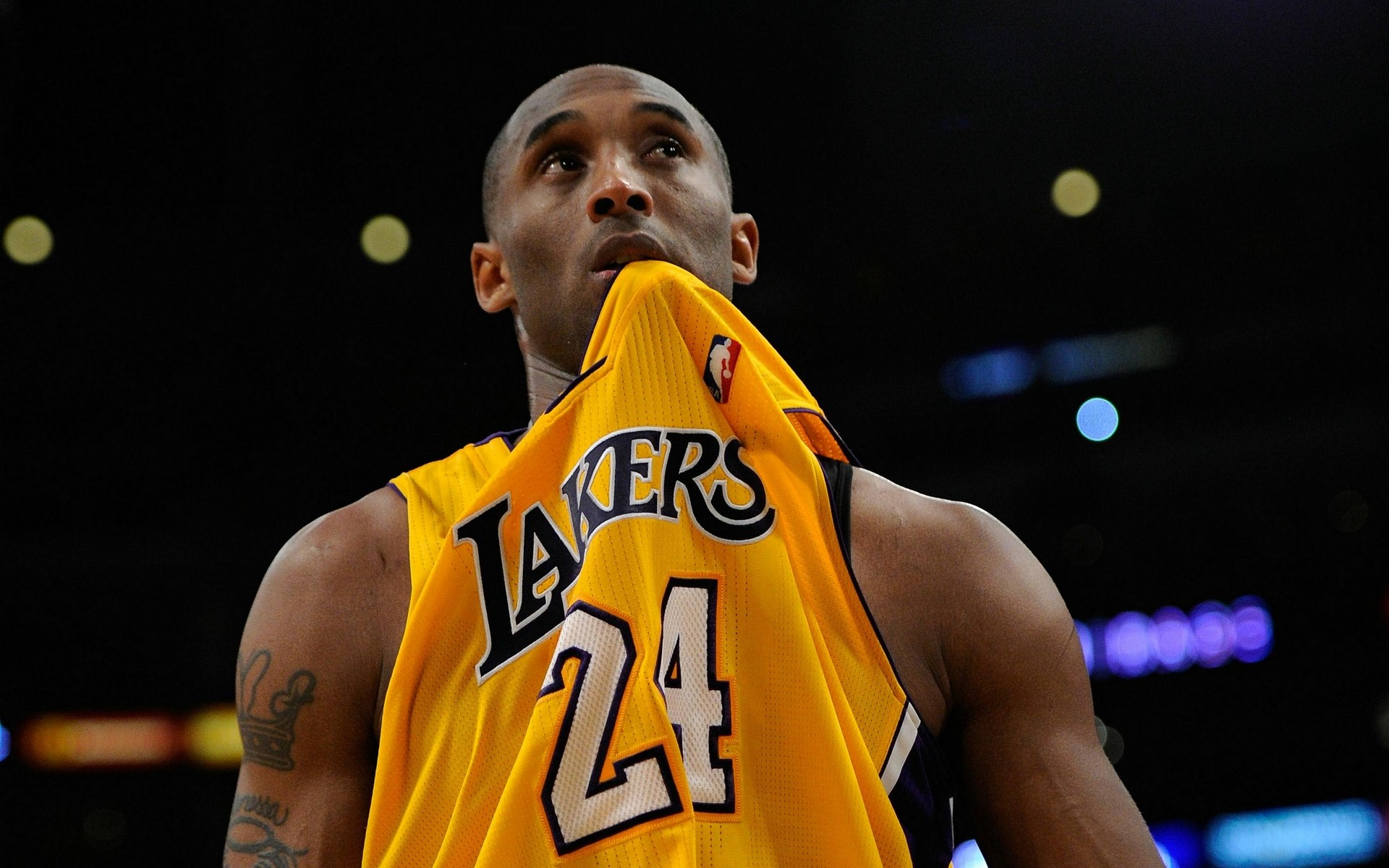 试图在主场 试图在主场