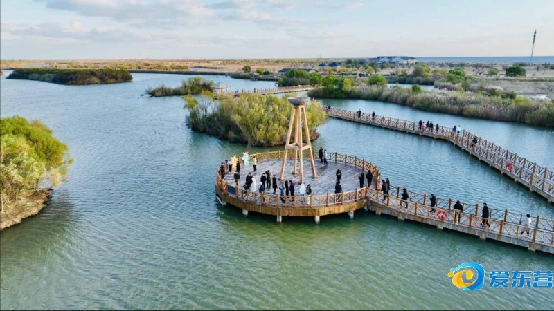 虽然补强已 虽然补强已